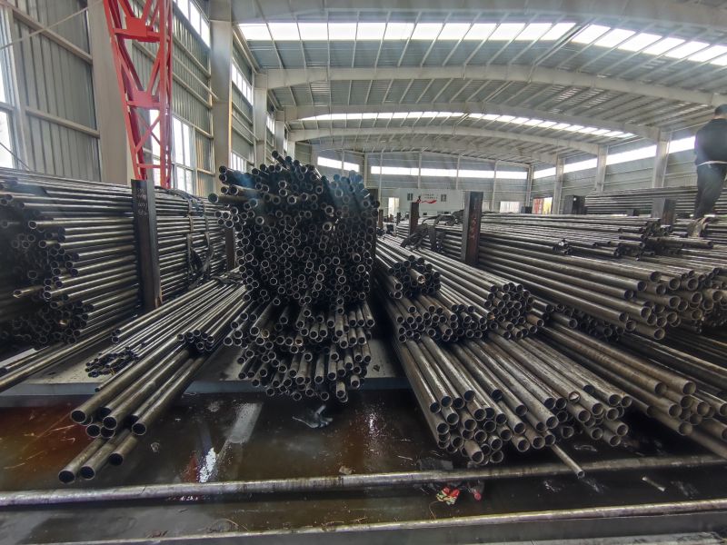 IMG_20230401_141253.jpg IMG_20230401_141253.jpg